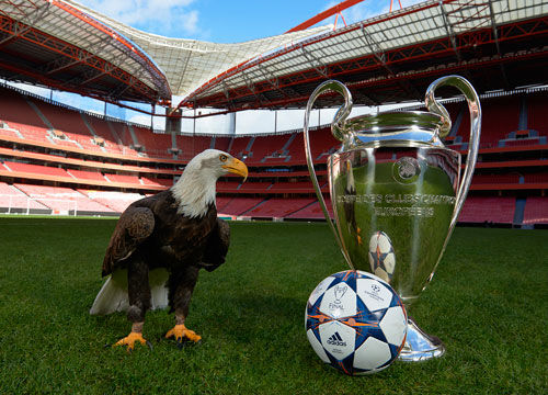 随着大坂直 随着大坂直