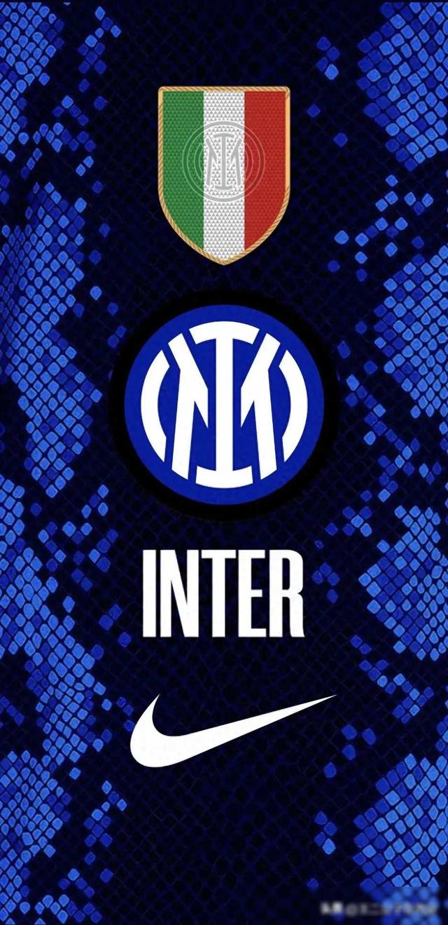 不仅展现了 不仅展现了