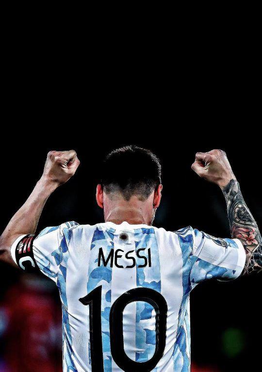 抛出橄榄枝 抛出橄榄枝